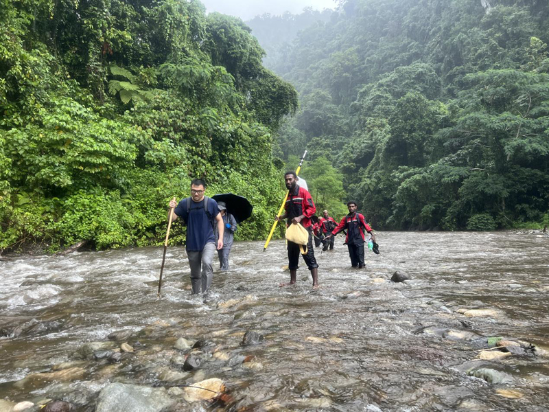 万水千山只容易，，，，，，践行六讲勇向前 ——所罗门金岭水电站项目勘探事情侧记